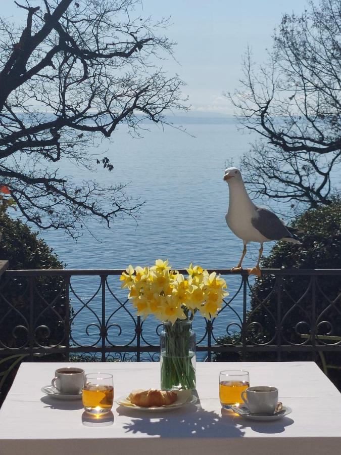 Hotel Villa Astra Lovran Exteriér fotografie